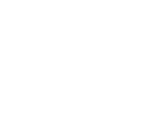 globe image