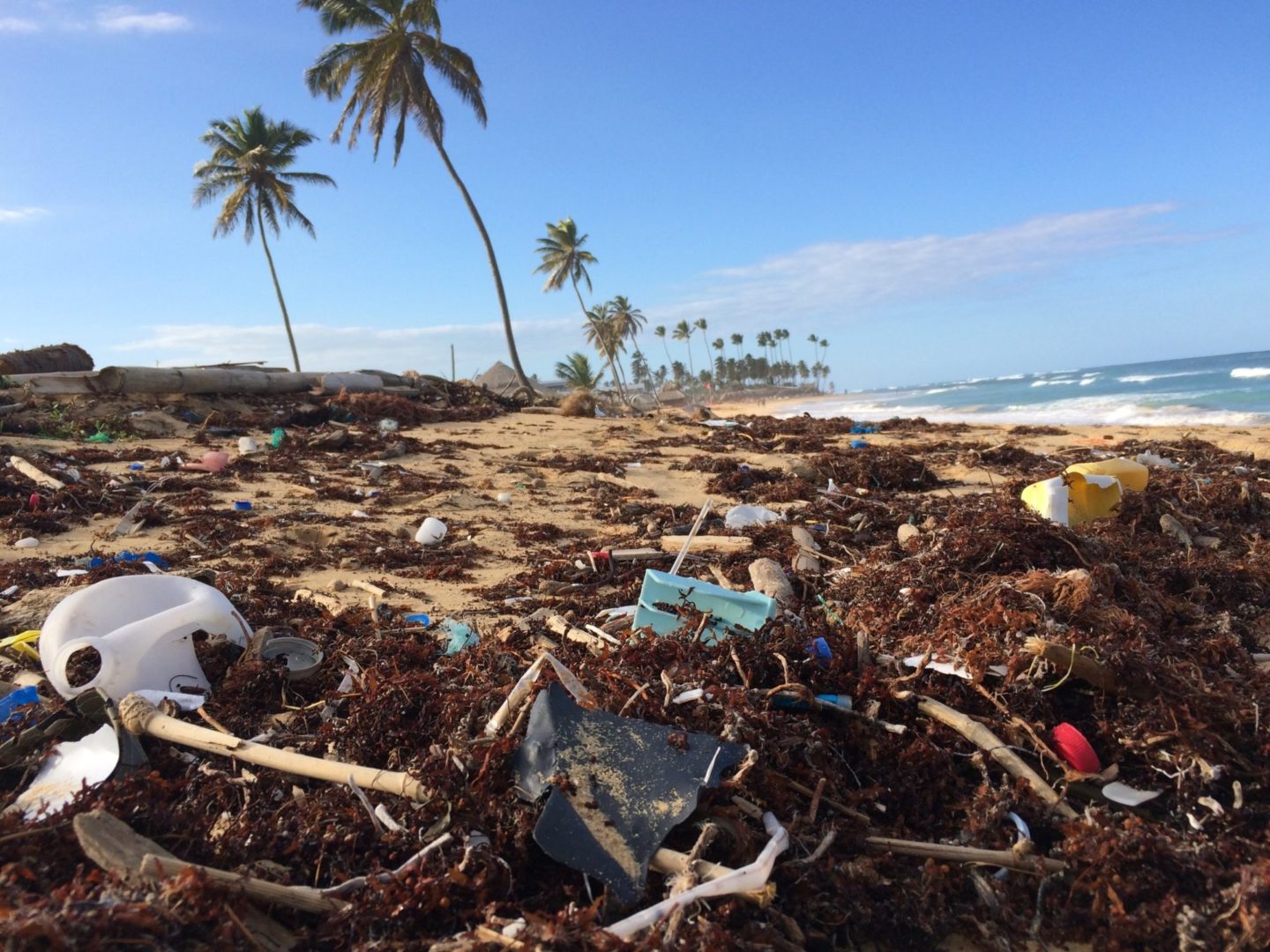 Is Instagram Leading The War Against Plastic?