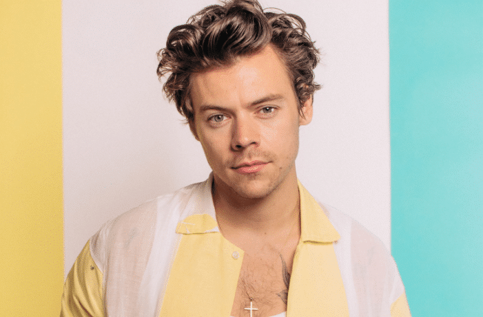 Harry Styles