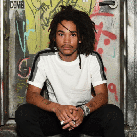 Luka Sabbat (@lukasabbat)
