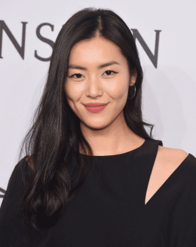 Liu Wen (@liuwenlw)