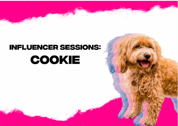 Influencer Sessions: Get to Know Cookie