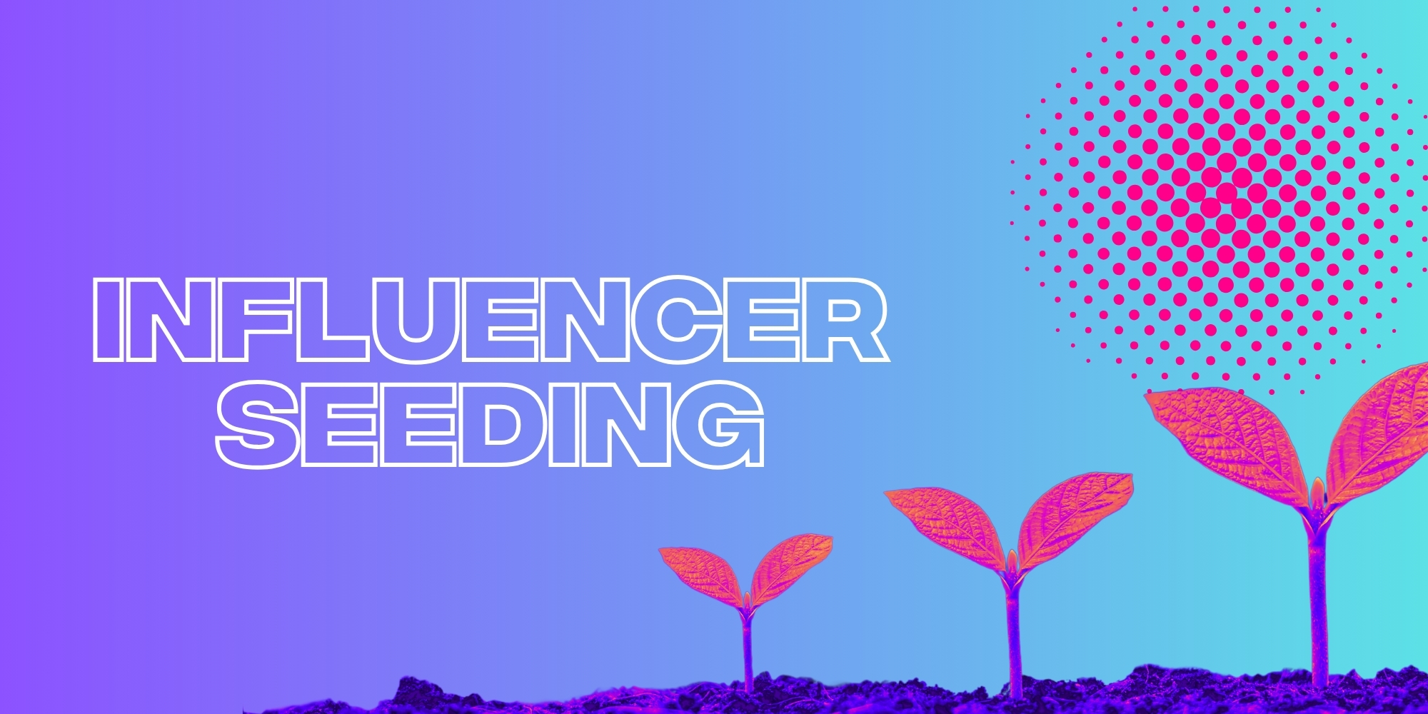 Planting The Perfect Seed: How To Run A Successful Influencer Seeding Campaign