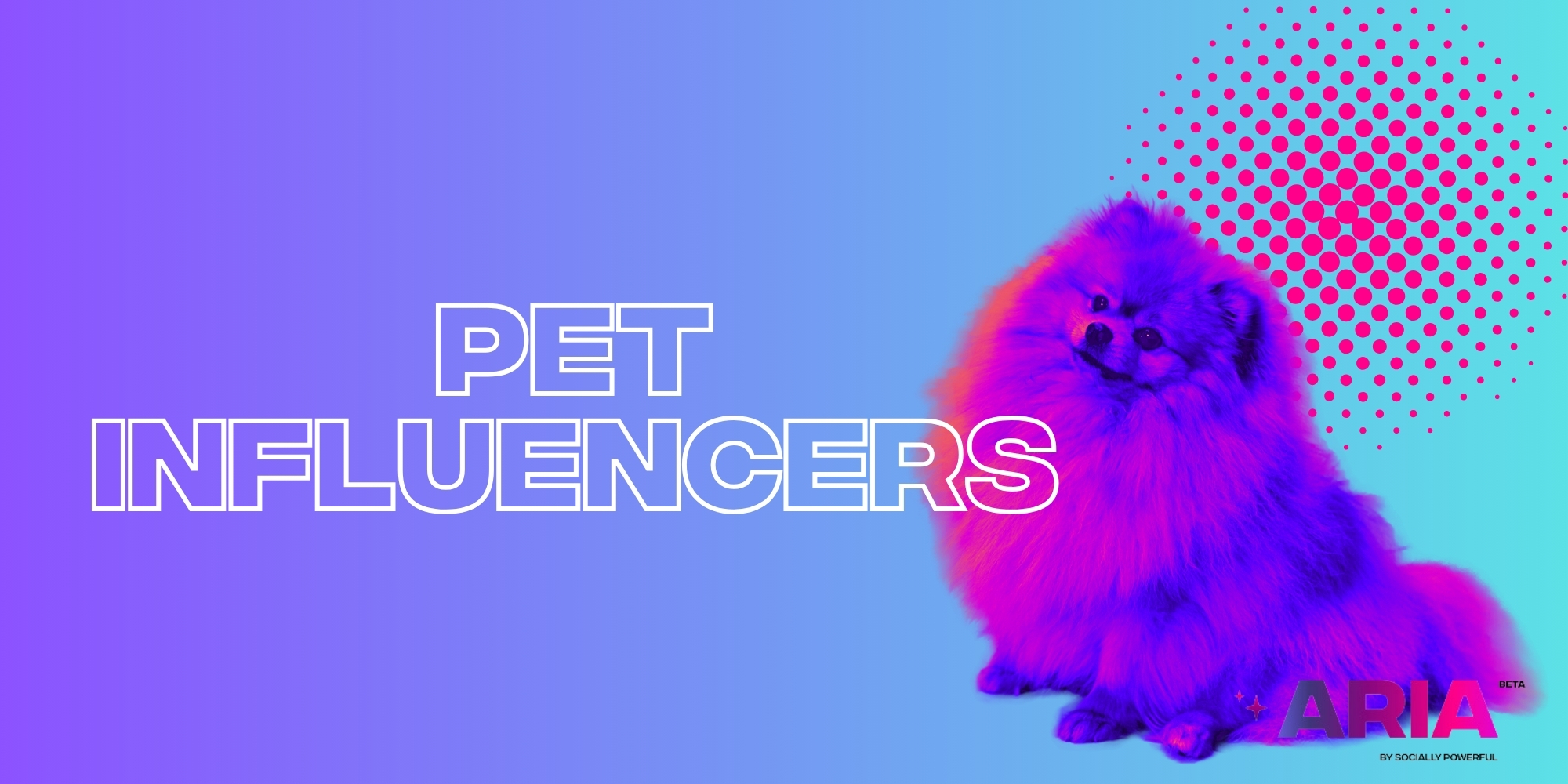 Niche of the Week: Pet Influencers