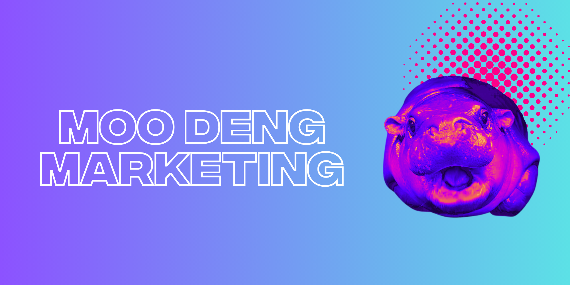 What Has Moo Deng Taught Us About Short-Term Marketing Strategies? 