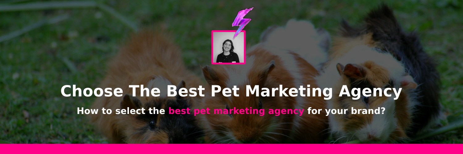 picking the best pet marketing agency