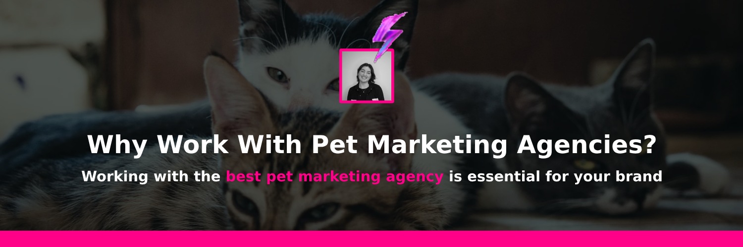 why work with a pet marketing agency