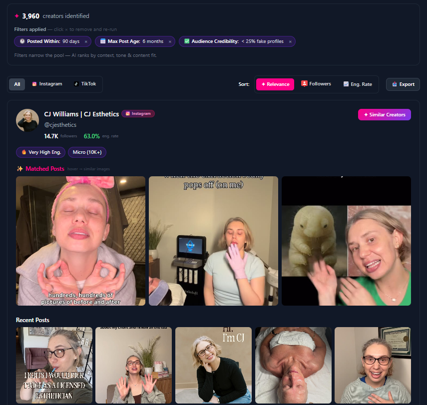 Filtered influencer search results
