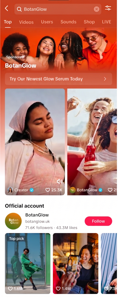 Overview of TikTok's search hubs